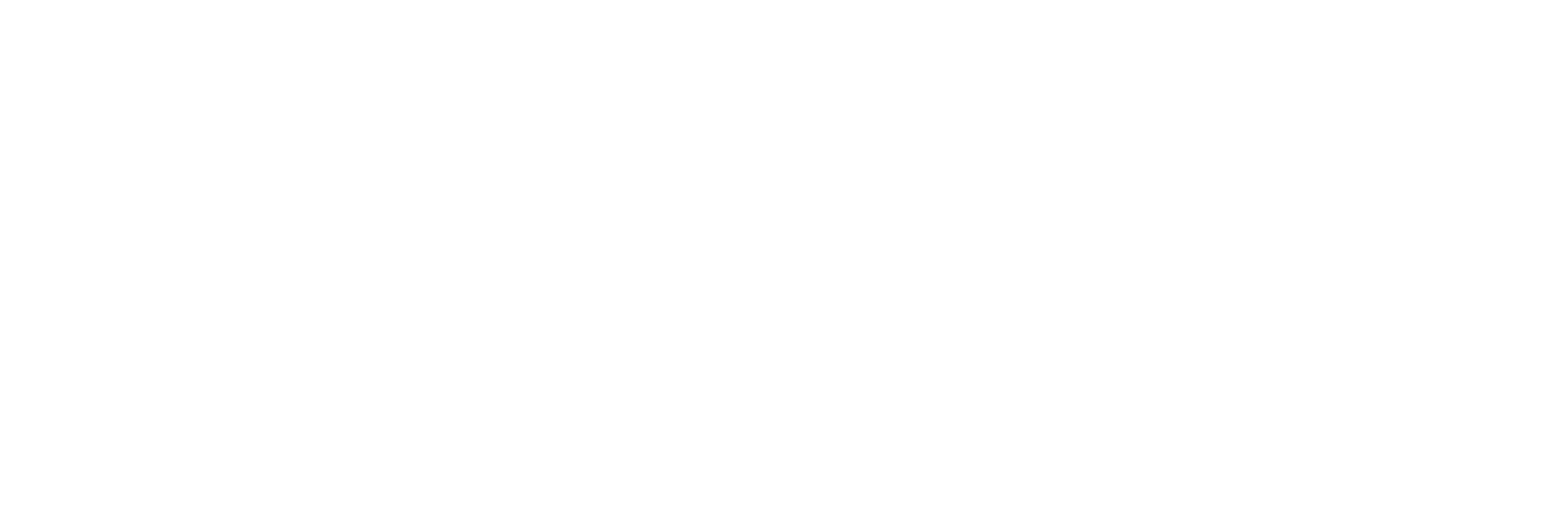 Walter Grechenig und seine Fegerländer – offizielles Bandlogo